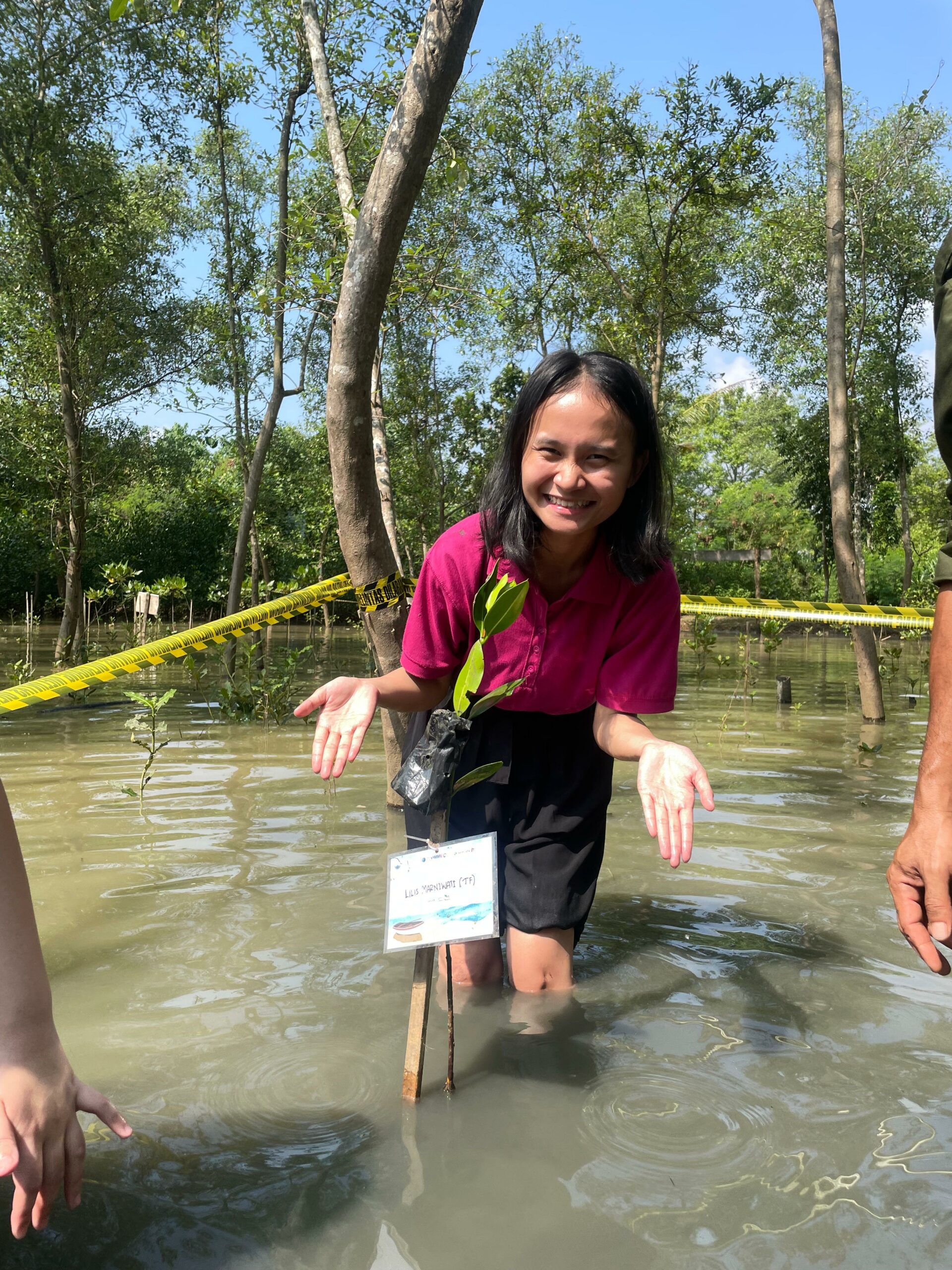 Serunya Penanaman Mangrove di Desa Citeurup, Panimbang, Pandeglang